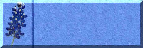 bluebonnetblues.jpg (43275 bytes)