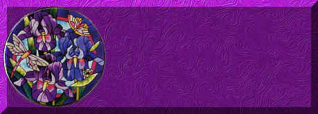 purpleirisdragonflystnglss.jpg (68352 bytes)