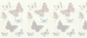 9butterfliesgalorewtrmrk.jpg (19652 bytes)